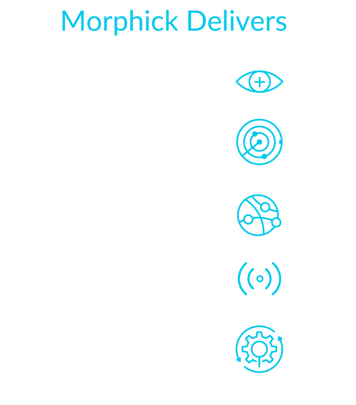 Morphick Delivers Unparallelled Visibility, Advanced Threat Detection & Response, Tailored Threat Intelligence, Incident Response, Reverse Engineering & Proactive Threat Hunting Services